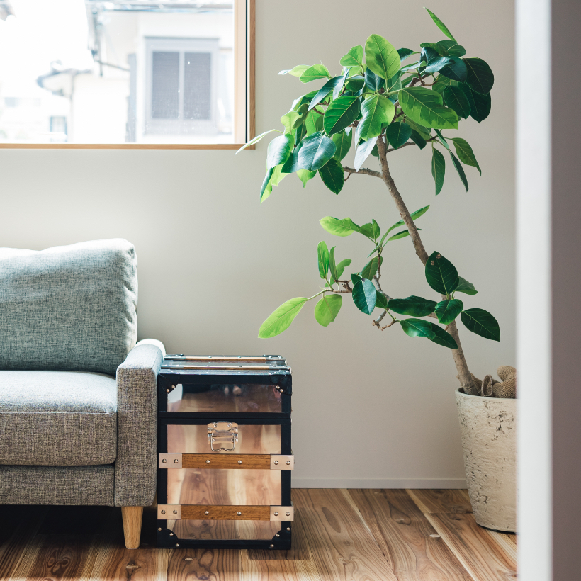 新築注文住宅お客様インタビュー